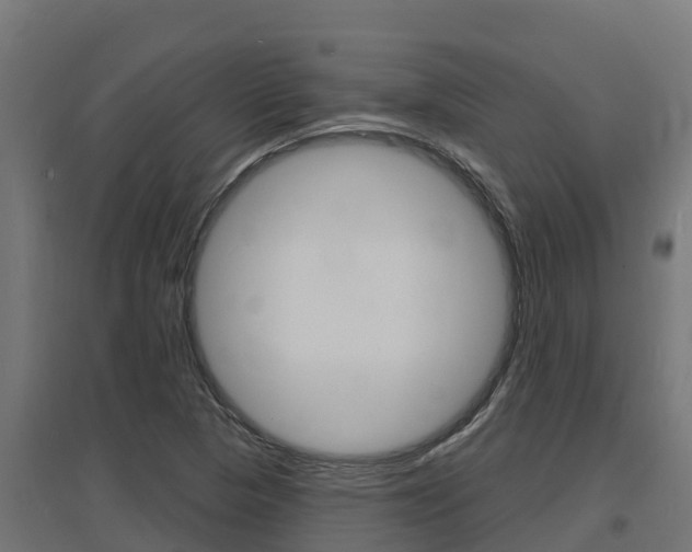 X0000097671313200802290936