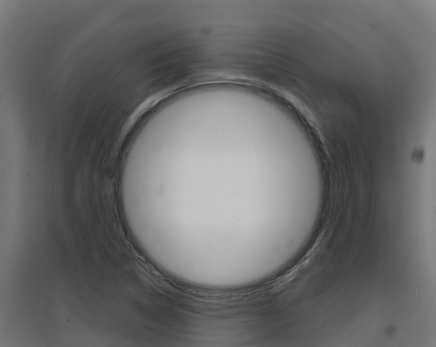 X0000097671314200802290936
