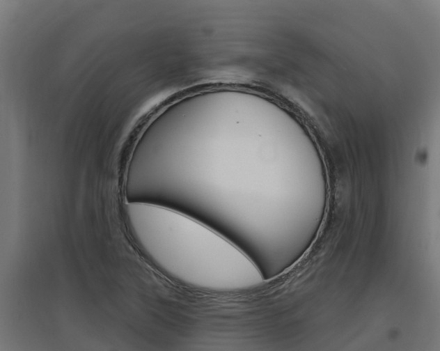 X0000097671315200802290936
