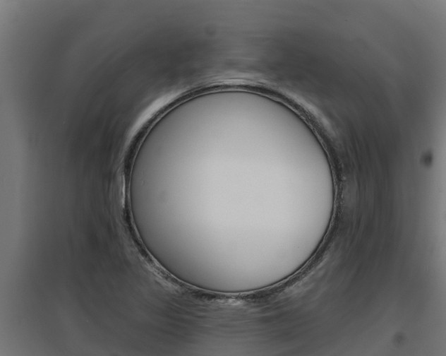 X0000097671317200802290936