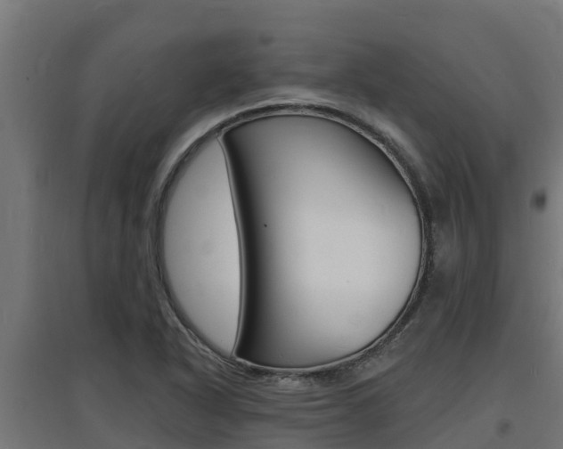 X0000097671318200802290936