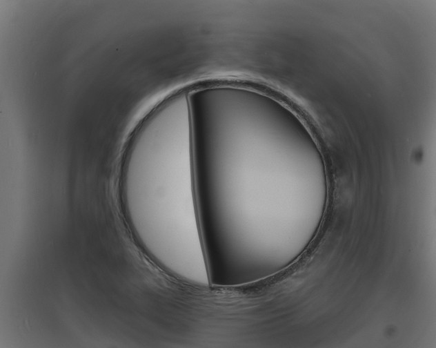X0000097671319200802290936