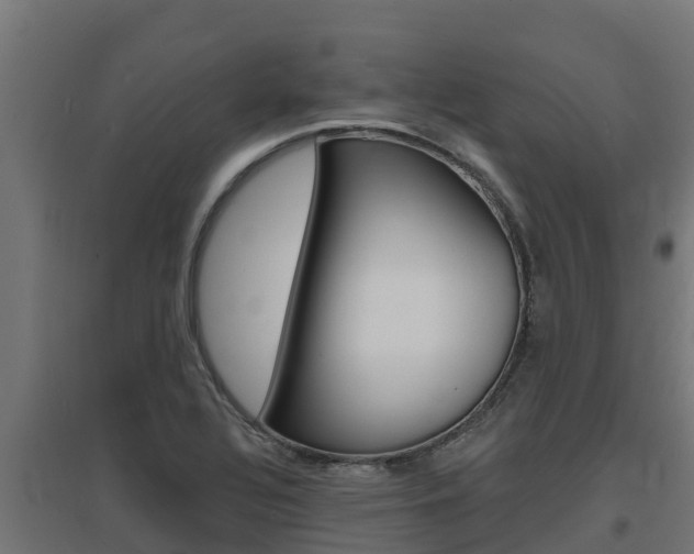 X0000097671320200802290936