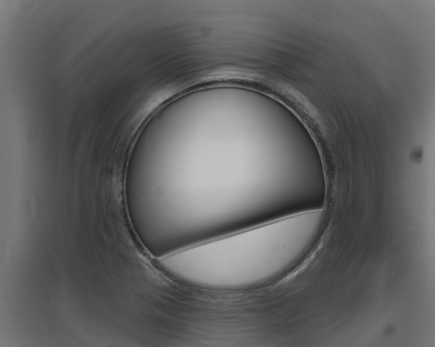 X0000097671321200802290936