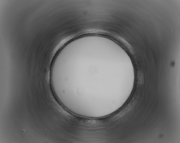 X0000097671322200802290936