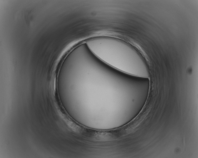 X0000097671323200802290936