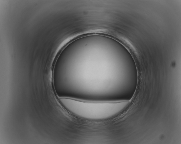 X0000097671324200802290936