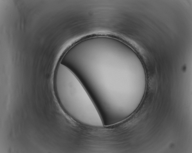 X0000097671327200802290936
