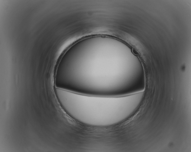 X0000097671328200802290936