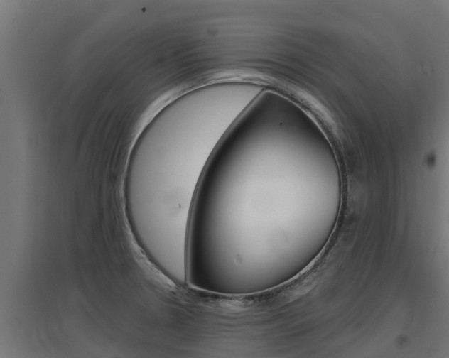 X0000097671330200802290936