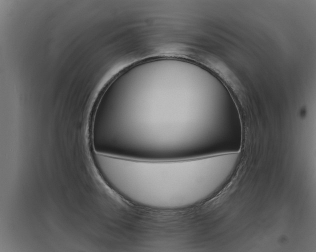 X0000097671331200802290936
