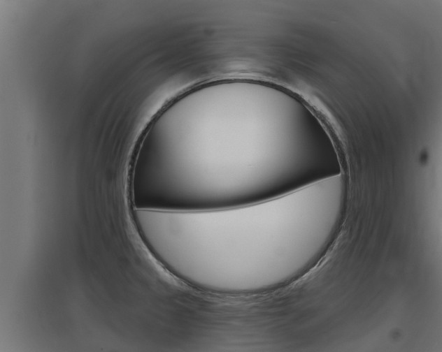 X0000097671333200802290936