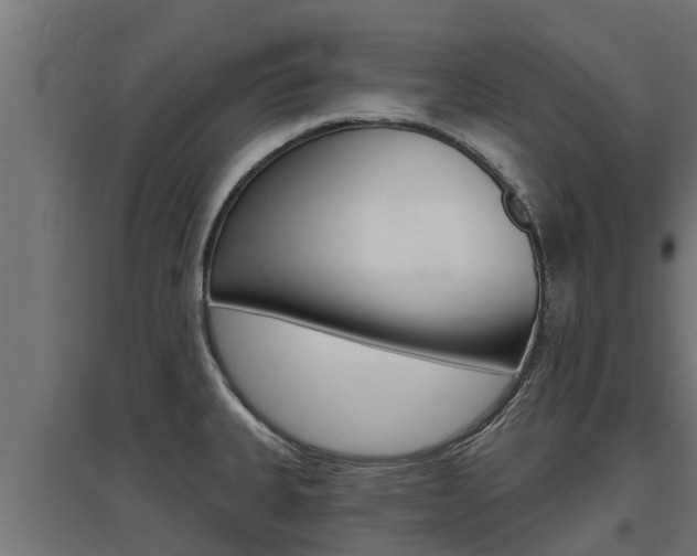 X0000097671335200802290936