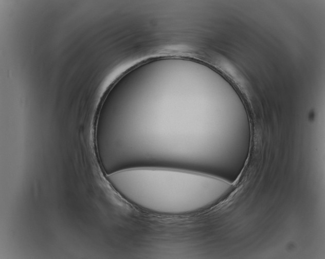 X0000097671336200802290936