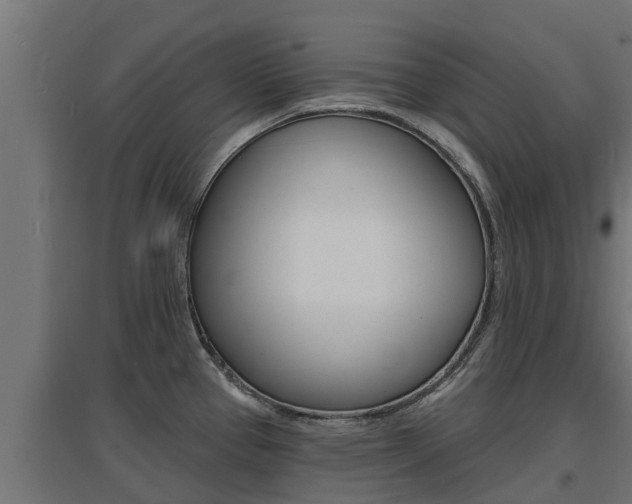 X0000097671337200802290936