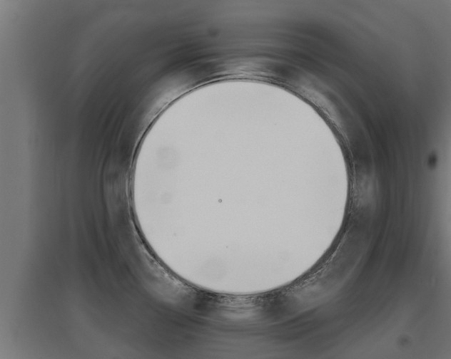 X0000097671338200802290936