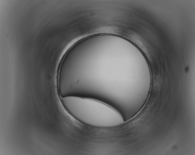 X0000097671339200802290936