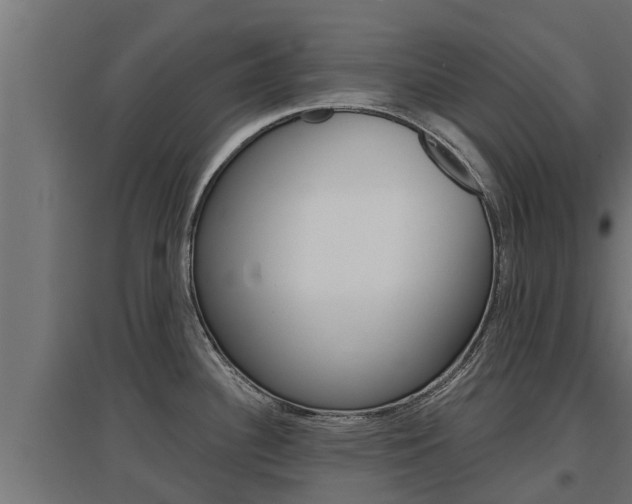X0000097671340200802290936