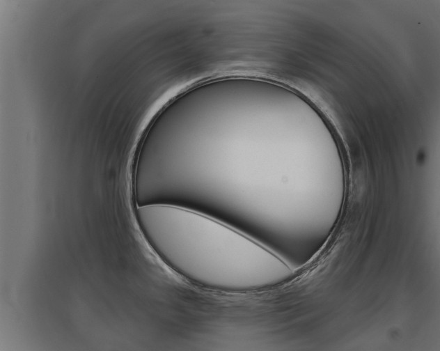 X0000097671341200802290936