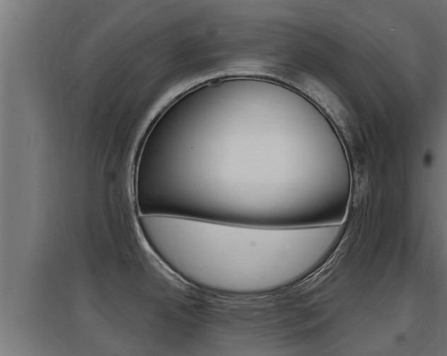 X0000097671342200802290936