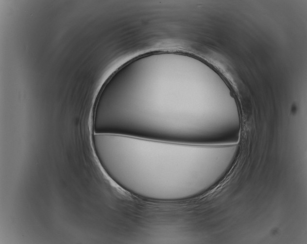 X0000097671343200802290936