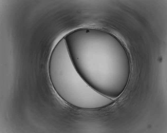 X0000097671344200802290936