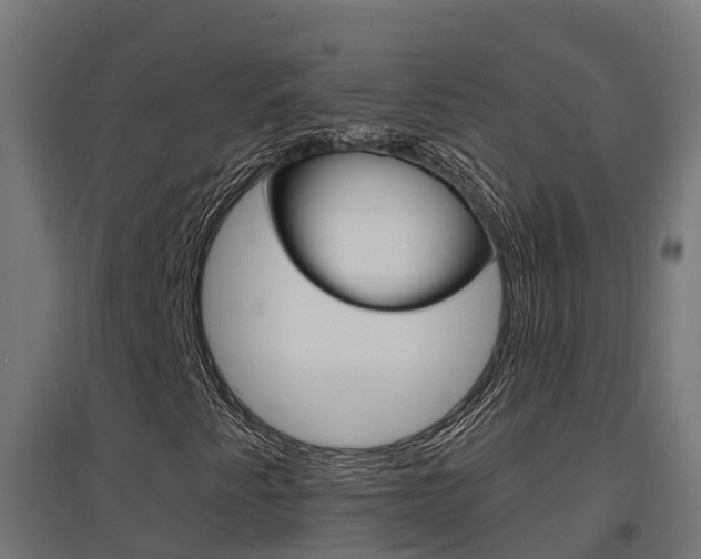 X0000097671345200802290936