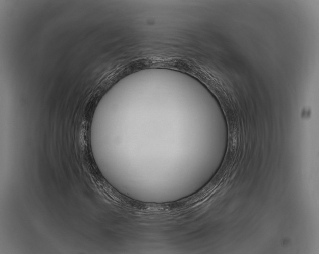 X0000097671346200802290936