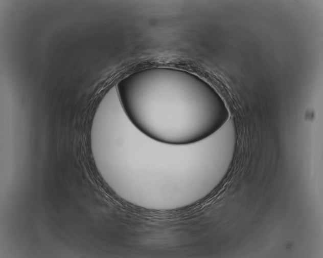 X0000097671349200802290936