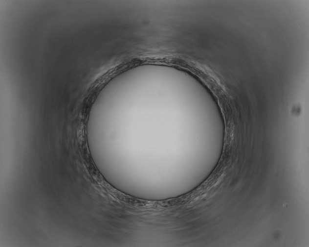X0000097671350200802290936