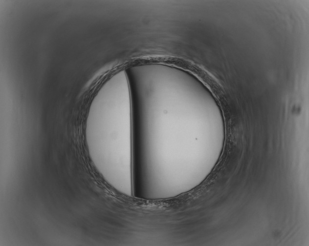X0000097671351200802290936