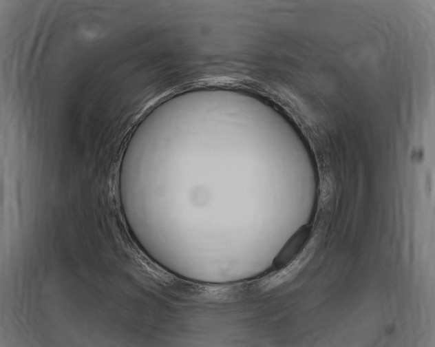X0000097671353200802290936