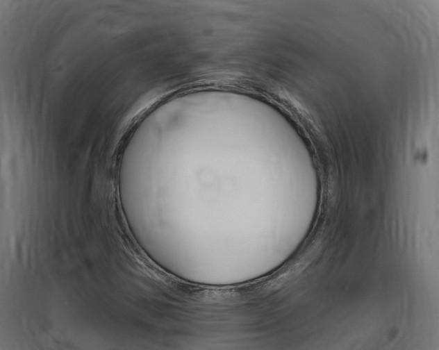 X0000097671354200802290936