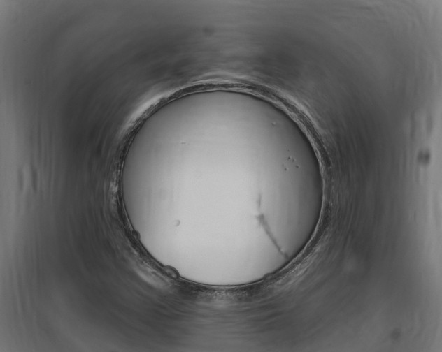 X0000097671355200802290936