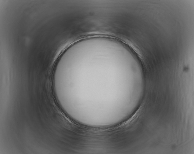 X0000097671357200802290935