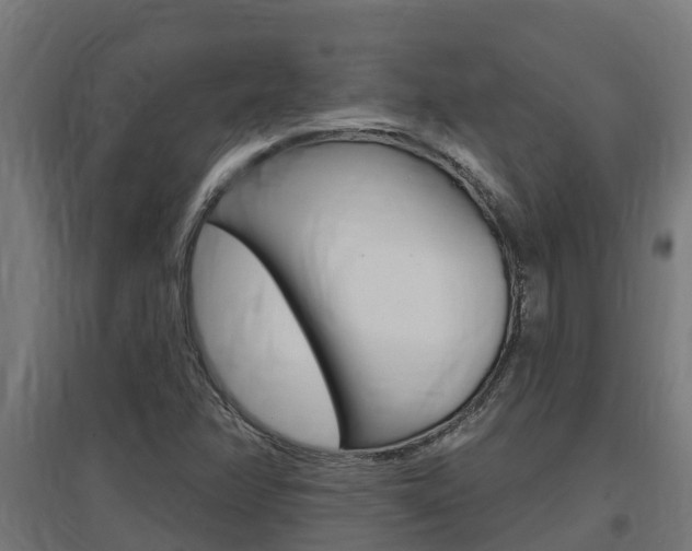 X0000097671358200802290935