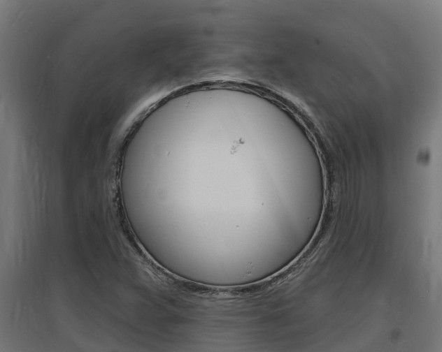 X0000097671359200802290935