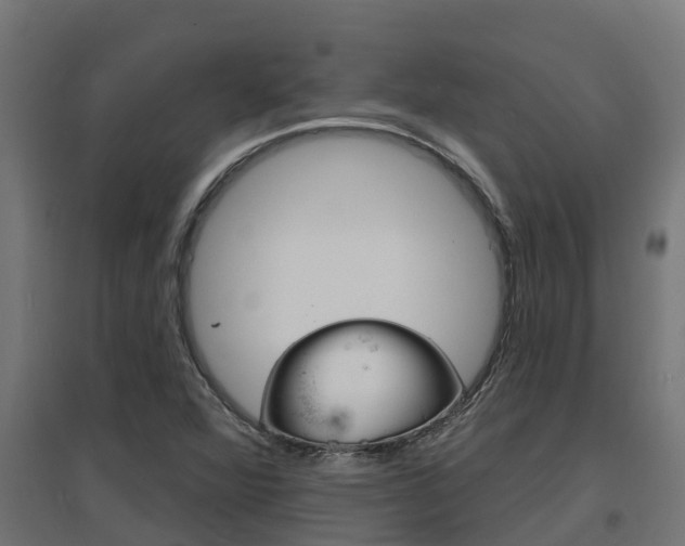 X0000097671360200802290935