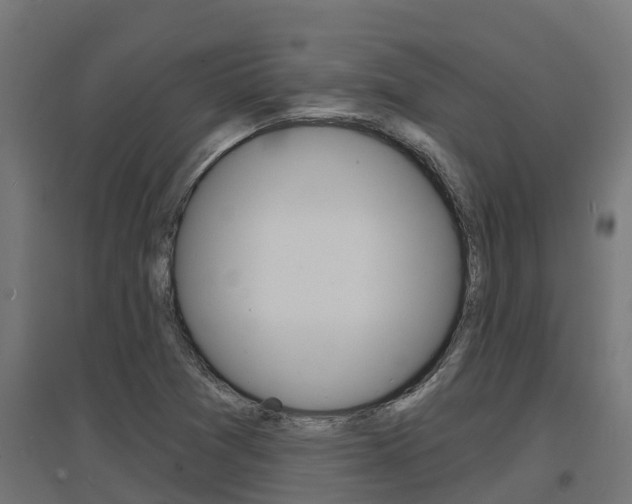 X0000097671361200802290935