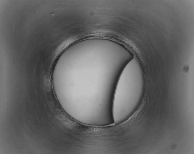 X0000097671362200802290935