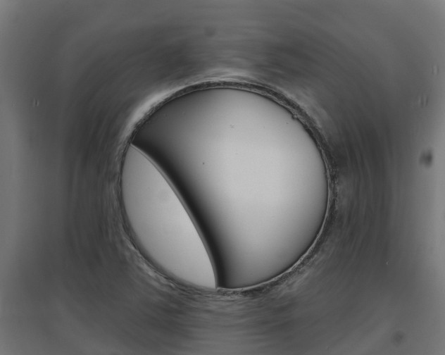 X0000097671363200802290935