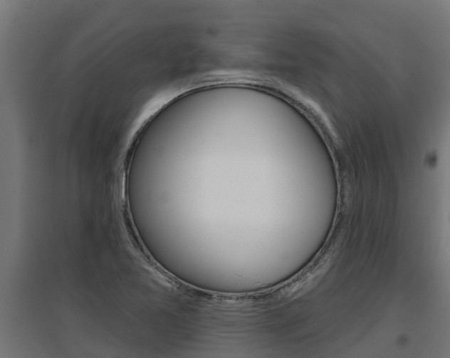 X0000097671365200802290935