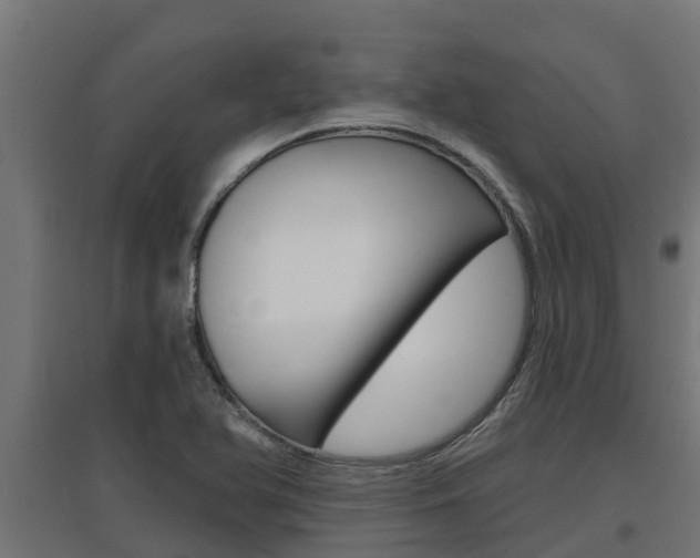 X0000097671366200802290935