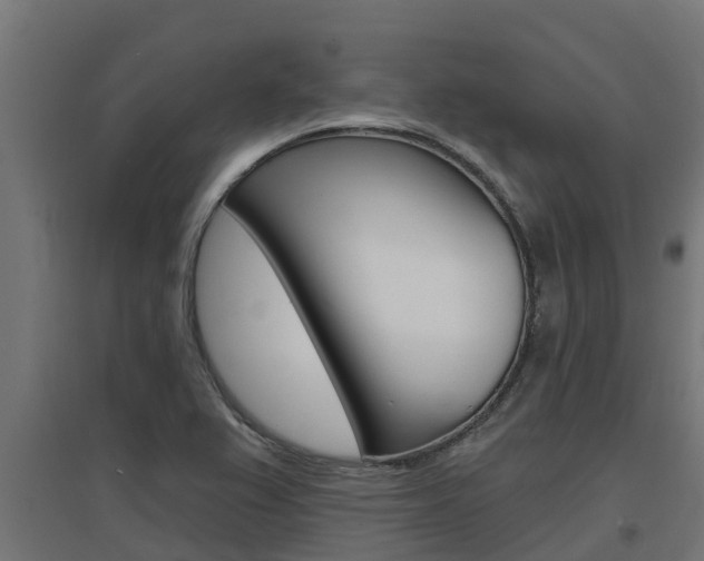 X0000097671367200802290935