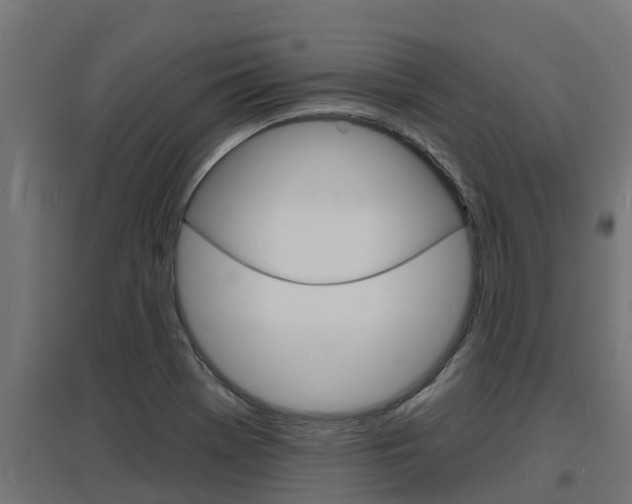 X0000097671369200802290935