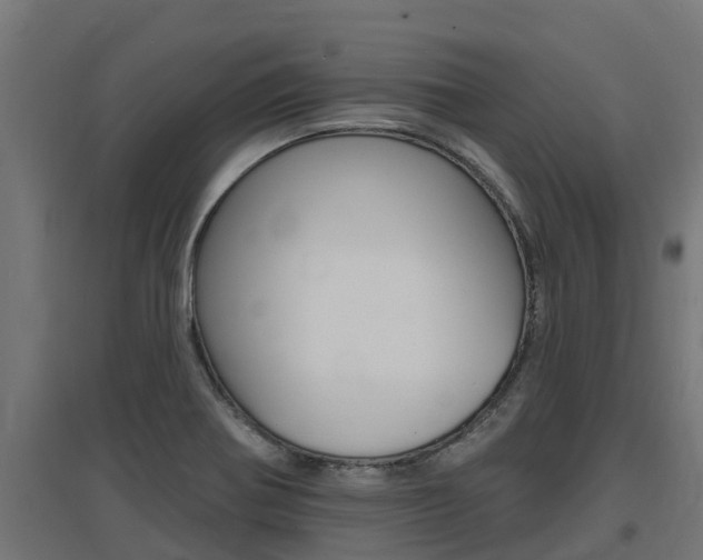 X0000097671370200802290935