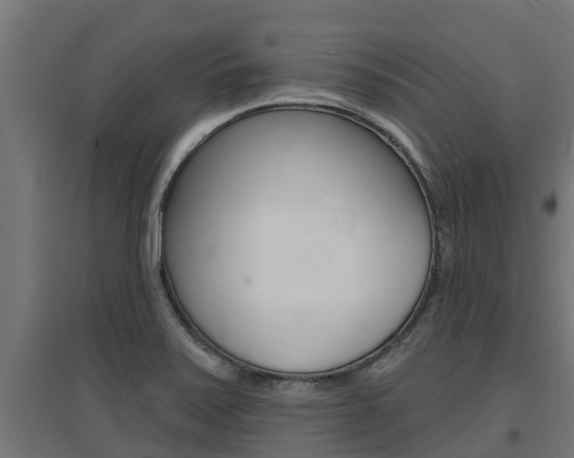 X0000097671371200802290935