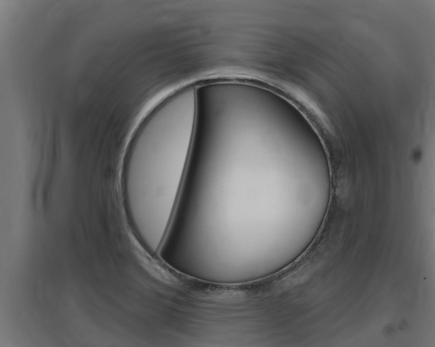 X0000097671372200802290935