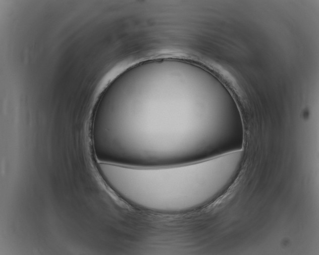 X0000097671373200802290935