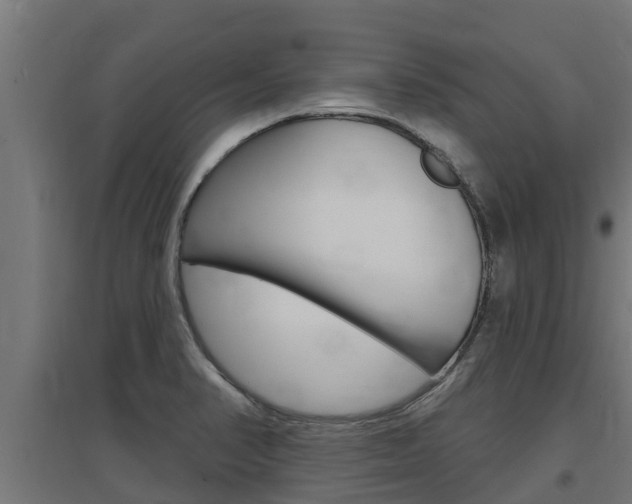 X0000097671374200802290935